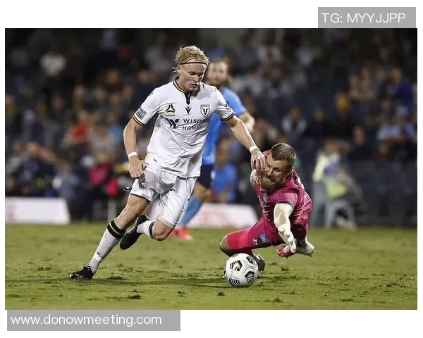 惠灵顿凤凰主场迎战中部海岸球队期待精彩对决与胜利之争