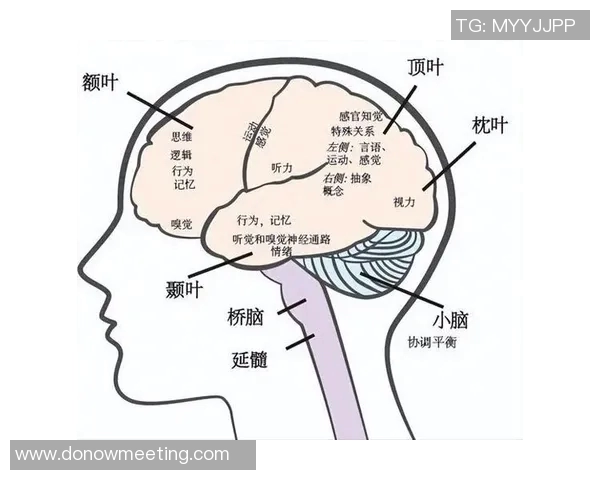 探索jemer的多元魅力与文化深度，揭示其在当代社会中的重要意义与影响力