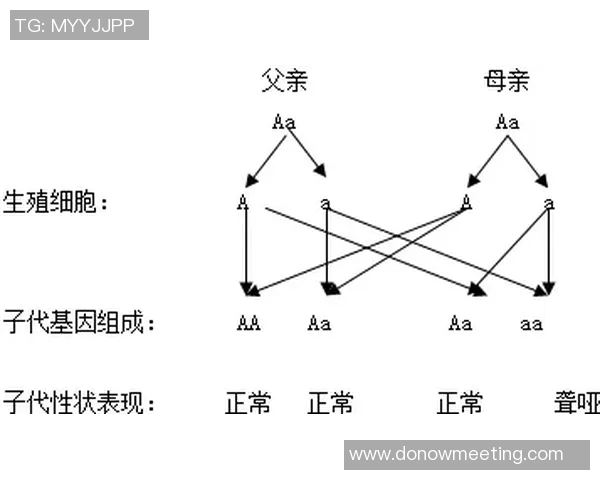 马耶尔的科学探索之路与人类未来的无限可能性