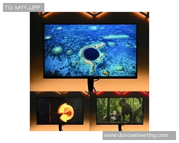 河南卫视直播在线观看全方位指南让你不错过每一个精彩瞬间